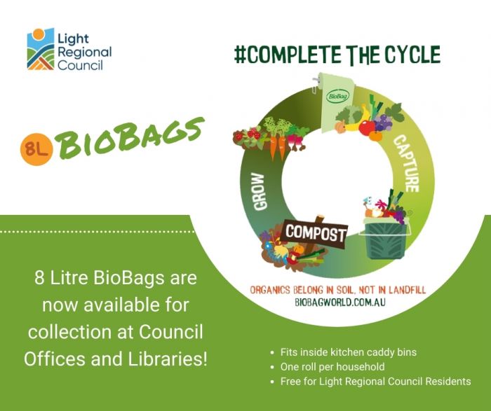 BioBags Image