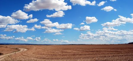 Rural Business thumb